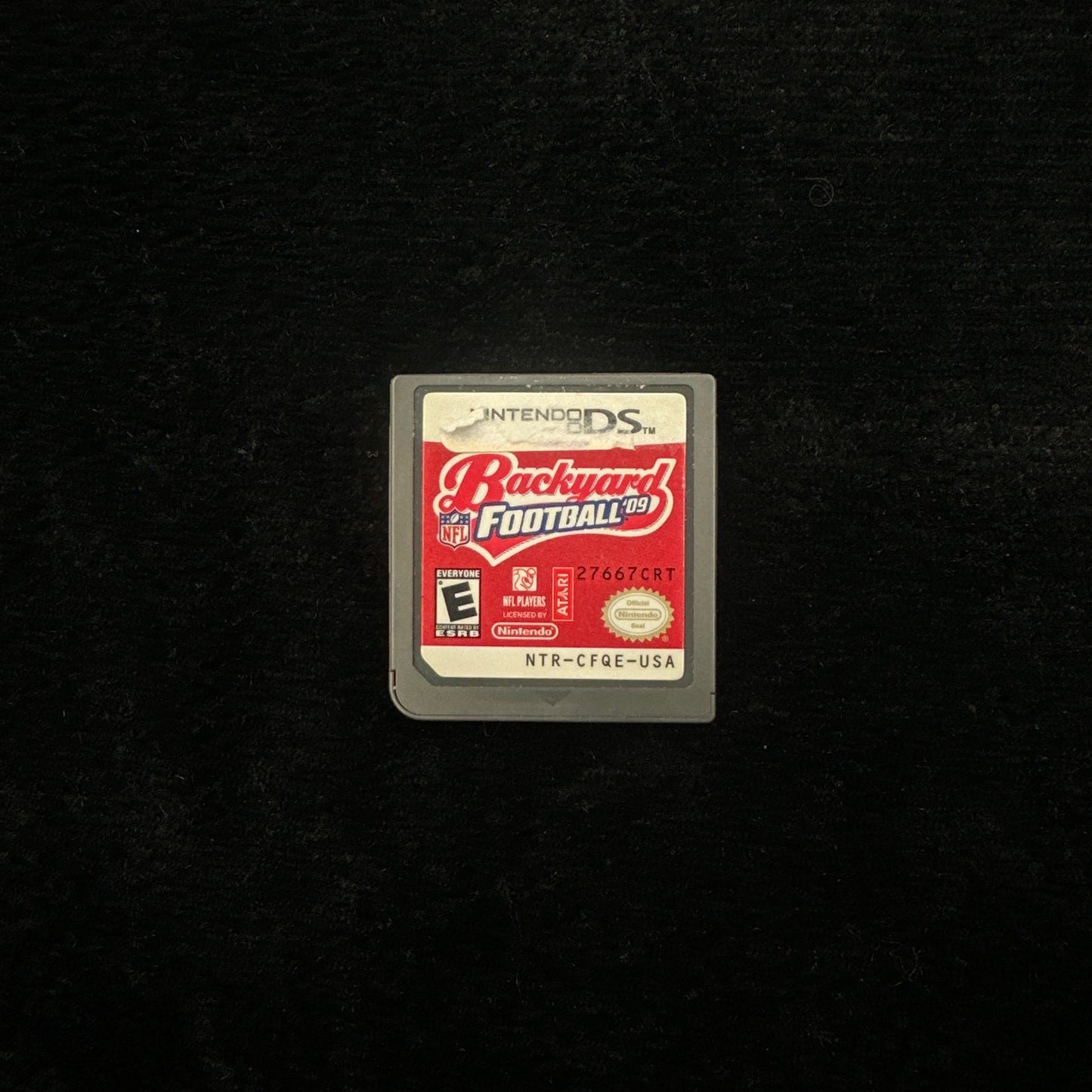 Backyard Football 09 for Nintendo DS
