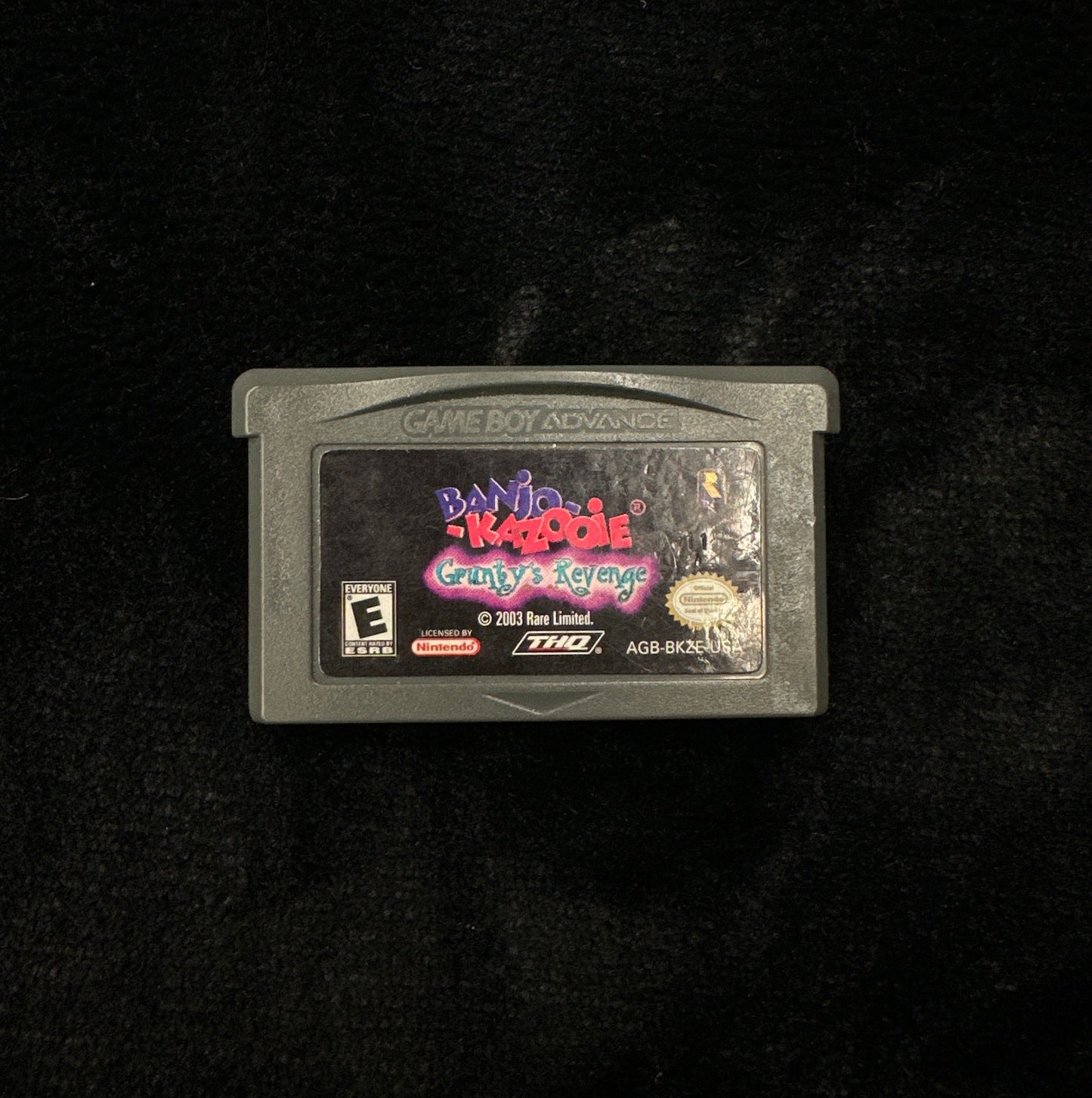 Banjo-kazooie Grunty’s Revenge for Game Boy Advance